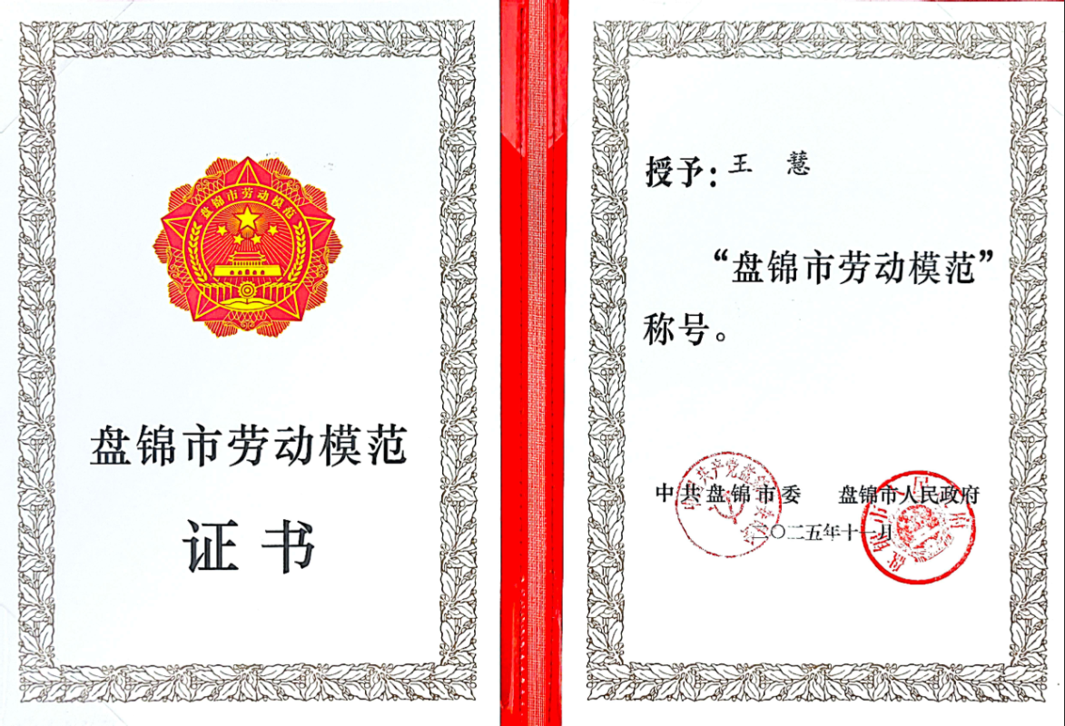 lewin乐玩官网-相信品牌力量